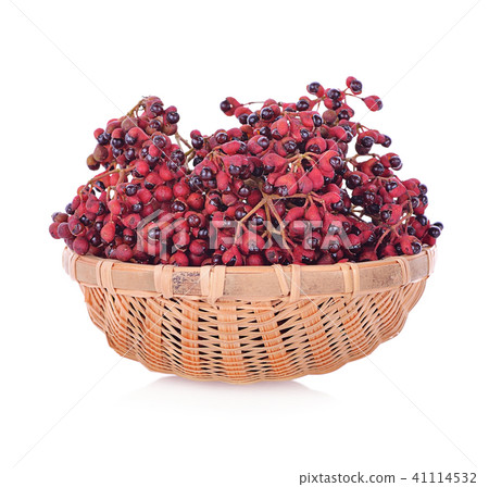 Zanthozylum limonella Alston on white background Zanthozylum limonella Alston on white background 41114532