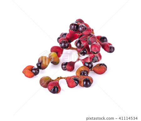 Zanthozylum limonella Alston on white background Zanthozylum limonella Alston on white background 41114534