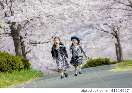 走在櫻桃開花的公園的新的新生和步行者 41114967
