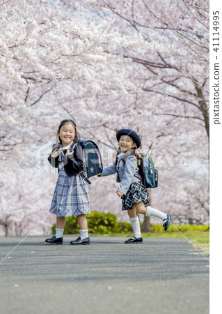 走在櫻桃開花的公園的新的新生和步行者 走在櫻桃開花的公園的新的新生和步行者 41114995