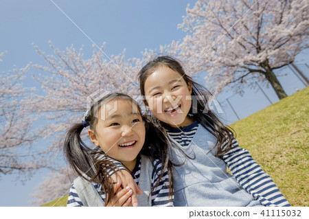 Sisters playing in a cherry blossom park 41115032