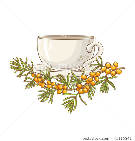 sea buckthorn tea illustration 41115541