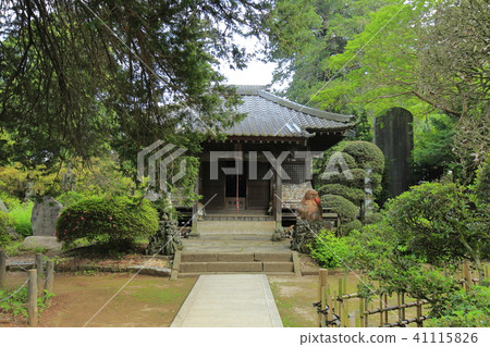 Maori Temple Temple Forest Maori Temple Temple Forest 41115826