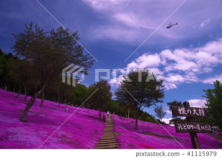 Shiba Saka公園在瀑布 41115979