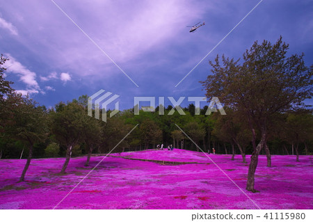 Shiba Saka Park on the Waterfall 41115980