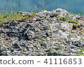 Rocks on a mountain overgrown with grass 41116853