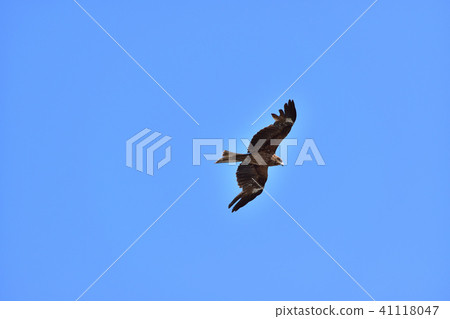 小牧·木村在Yuigahama飛行 41118047