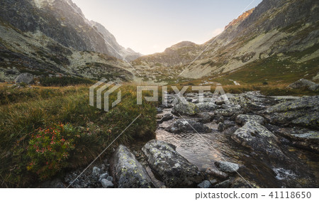 Creek in the Valley under the Mountain Peaks 41118650