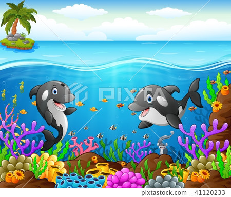 Cartoon whale under the sea -插圖素材 [41120233] - PIXTA圖庫