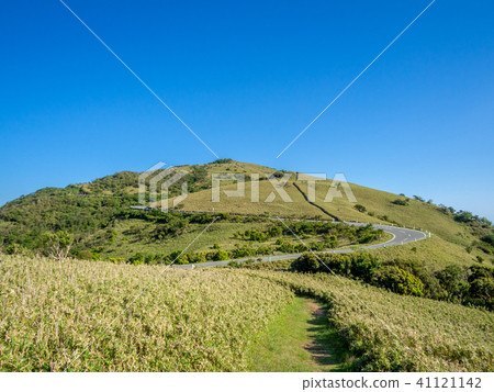 [Shizuoka Prefecture] Cloudless blue sky, early summer highland scenery [Nishi Izu Skyline, Izusan Ridge Sidewalk, Mt. Daruma] 41121142