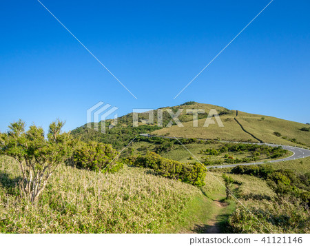 [Shizuoka Prefecture] Cloudless blue sky, early summer highland scenery [Nishi Izu Skyline, Izusan Ridge Sidewalk, Mt. Daruma] 41121146