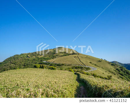 [Shizuoka Prefecture] Cloudless blue sky, early summer highland scenery [Nishi Izu Skyline, Izusan Ridge Sidewalk, Mt. Daruma] 41121152