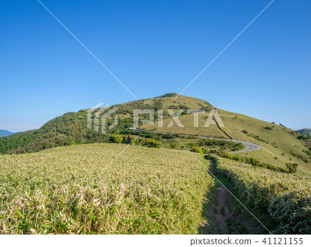 [Shizuoka Prefecture] Cloudless blue sky, early summer highland scenery [Nishi Izu Skyline, Izusan Ridge Sidewalk, Mt. Daruma] 41121155