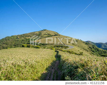 [Shizuoka Prefecture] Cloudless blue sky, early summer highland scenery [Nishi Izu Skyline, Izusan Ridge Sidewalk, Mt. Daruma] 41121156
