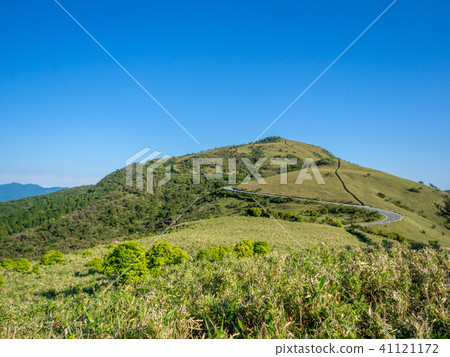 [Shizuoka Prefecture] Cloudless blue sky, early summer highland scenery [Nishi Izu Skyline, Izusan Ridge Sidewalk, Mt. Daruma] 41121172