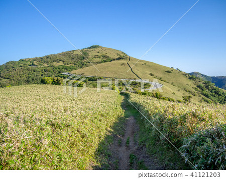 [Shizuoka Prefecture] Cloudless blue sky, early summer highland scenery [Nishi Izu Skyline, Izusan Ridge Sidewalk, Mt. Daruma] 41121203