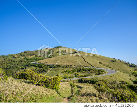 [Shizuoka Prefecture] Cloudless blue sky, early summer highland scenery [Nishi Izu Skyline, Izusan Ridge Sidewalk, Mt. Daruma] 41121206