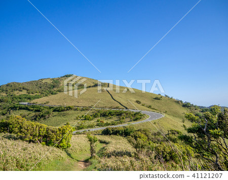 [Shizuoka Prefecture] Cloudless blue sky, early summer highland scenery [Nishi Izu Skyline, Izusan Ridge Sidewalk, Mt. Daruma] 41121207