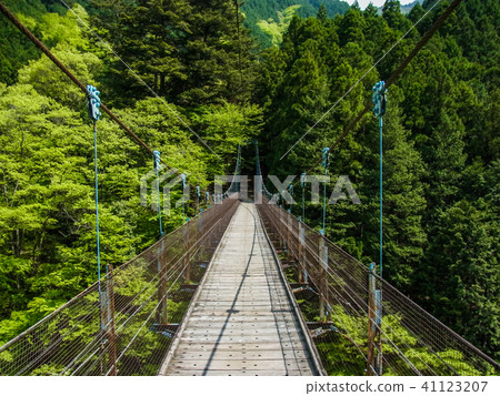 懸索橋 懸索橋 41123207