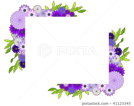 大麗花和紫菀框架 41123345