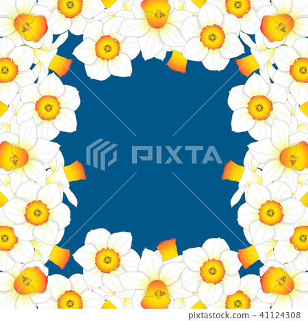 Daffodill - Narcissus Border on Blue Background 41124308