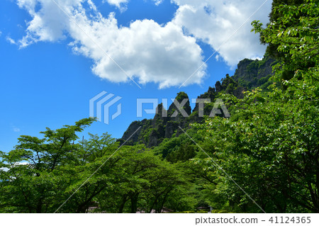 Myogi山的新鮮綠色 41124365
