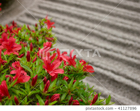 Azalea and stone garden Azalea and stone garden 41127896