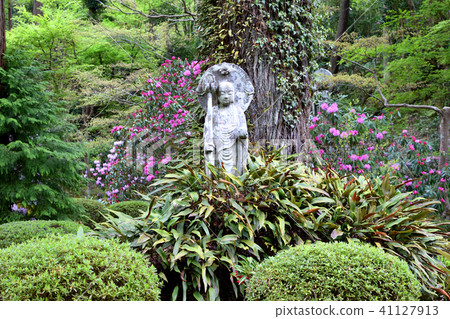 The spring garden of Sanzenin 41127913