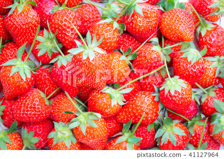 很多草莓 41127964