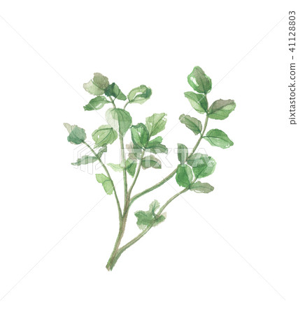 豆瓣菜豆瓣菜豆 41128803