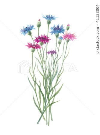 Yagurikusa yakimurasou 41128804