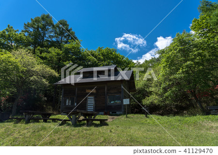 栃木縣鹿沼市Kogaminegara Plateau Hutte（五月） 41129470