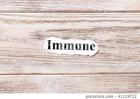 Words of Immune on a wooden background Words of Immune on a wooden background 41129722