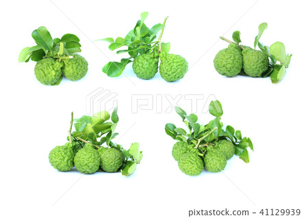 Bergamot fruit on isolated white 41129939