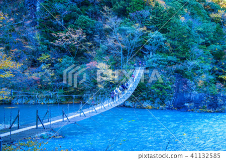[Shizuoka Prefecture] People crossing the Dream Suspension Bridge in late autumn 41132585