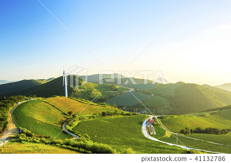 Anbang Deju Chinese cabbage field 41132786