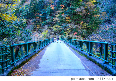 [靜岡縣] yu龍橋，深秋在墨ata峽散步 41132903