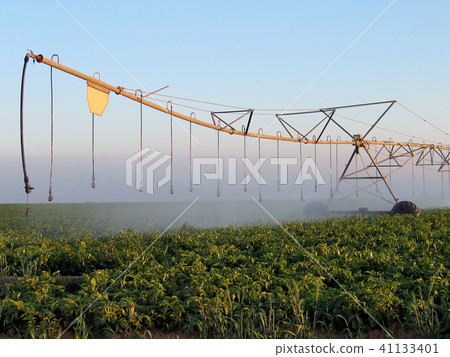 Sprinkling unit waters plants Sprinkling unit waters plants 41133401
