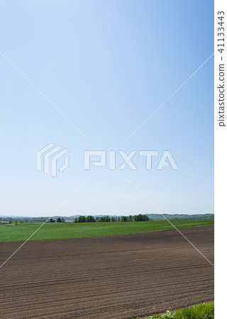 Blue sky and farmland 41133443