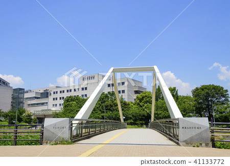 Sakaku chopsticks on Tsurumi River (Kohoku-ku, Yokohama) 41133772