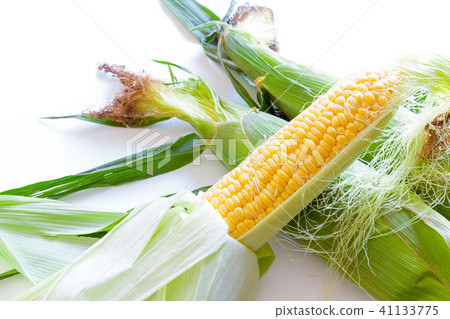 Corn, Corn, Gold Rush Corn, Corn, Gold Rush 41133775