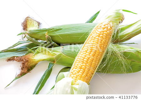 玉米，玉米，淘金熱 41133776