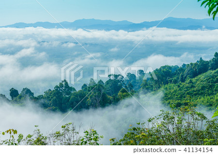 Mist in the morning cover on the top of the hill. Mist in the morning cover on the top of the hill. 41134154