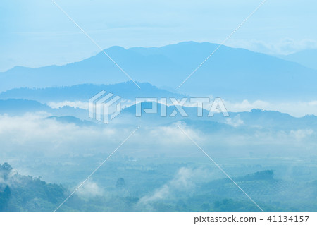 fog cover the trees in the Phang Nga valley fog cover the trees in the Phang Nga valley 41134157