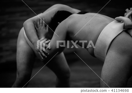 sumo, sumo wrestling, training 41134698