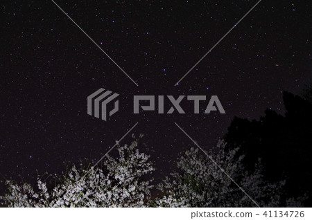 Night sky cherry Big Dipper Night sky cherry Big Dipper 41134726