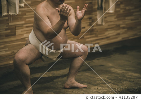 sumo, sumo wrestling, training 41135297