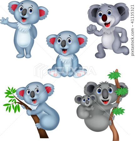 Cartoon koala collection set Cartoon koala collection set 41135321