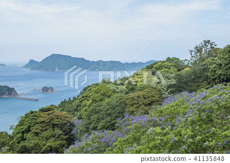 Forest of Jacaranda and Nichinan Coast Forest of Jacaranda and Nichinan Coast 41135848