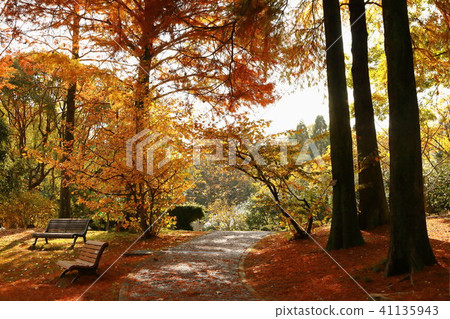 Hattori Fudo ground 41135943